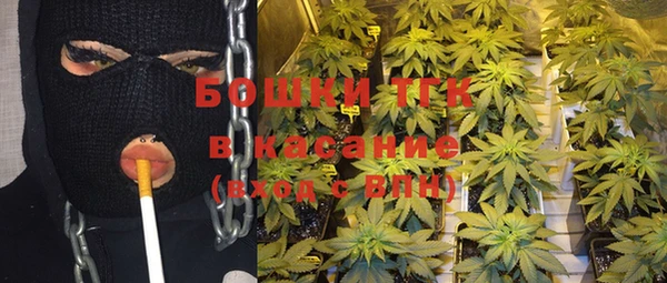 PSILOCYBIN Осташков