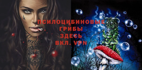 ALPHA PVP Алексин