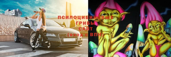 прущие крисы Абаза