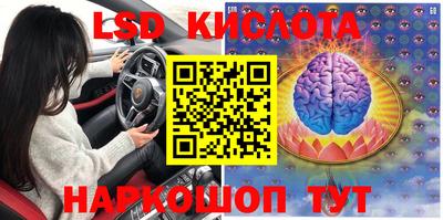 сатива Камышлов