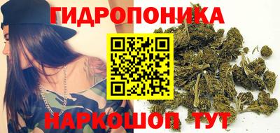 сатива Камышлов