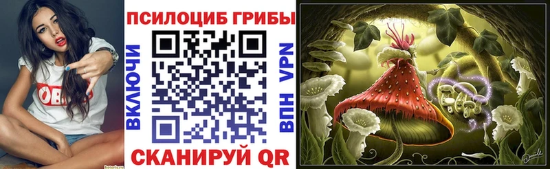 наркота  Мирный  Псилоцибиновые грибы Psilocybe 