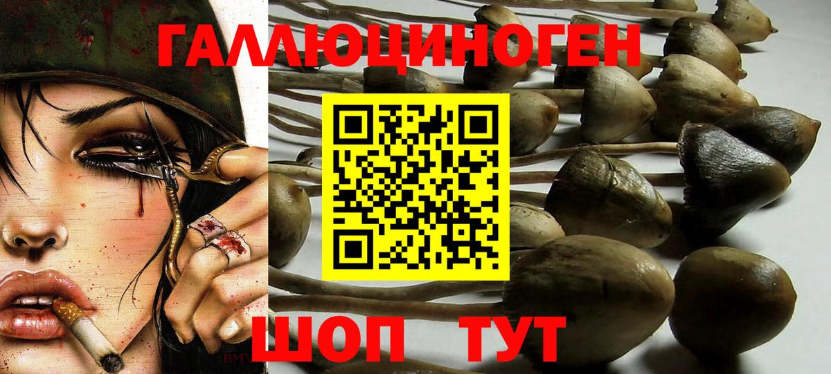 Галлюциногенные грибы мухоморы Мирный