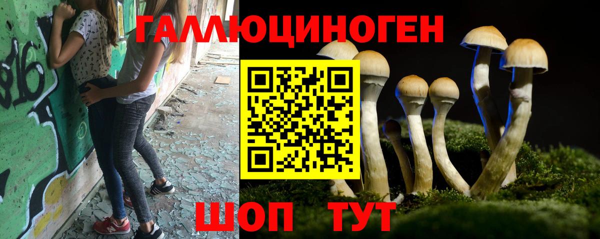 Мирный  Галлюциногенные грибы Magic Shrooms  Псилоцибиновые грибы MAGIC MUSHROOMS  купить наркотики сайты  Вход с VPN 