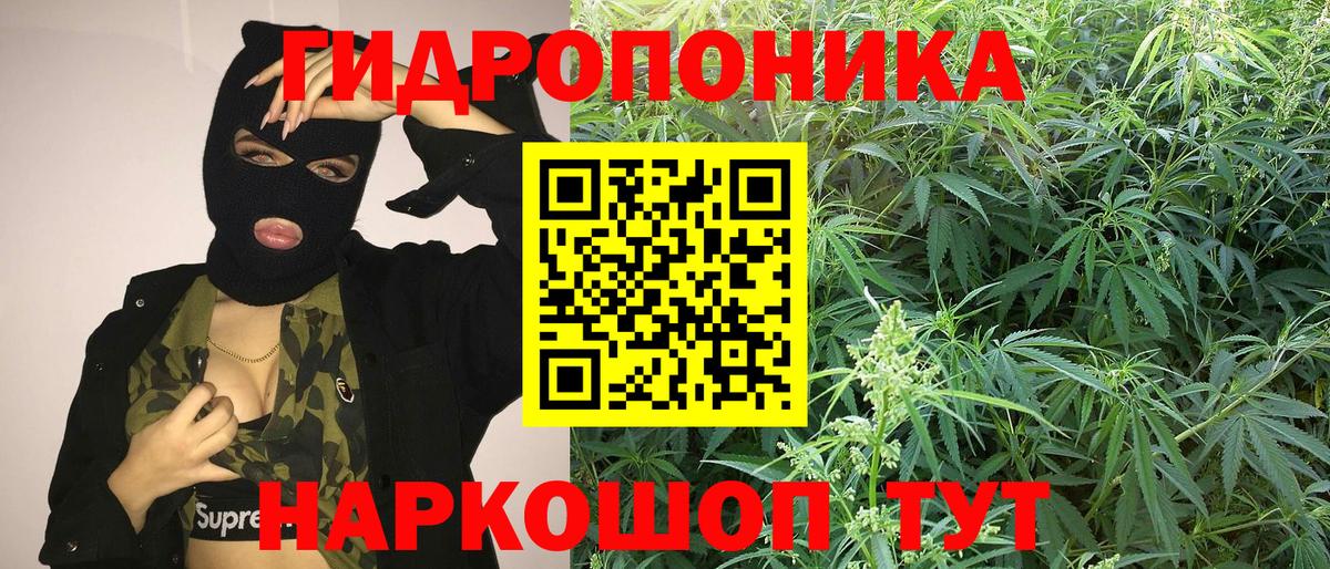 Мирный  Бошки марихуана планчик  Конопля ГИДРОПОН  Марихуана гибрид  Шишки марихуана MAZAR  Вход с VPN 
